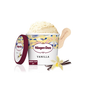 Haagen Dazs Vanilla Ice Cream 100Ml