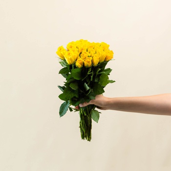 Yellow Roses