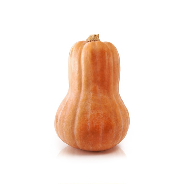 Butternut Squash South Africa x 2