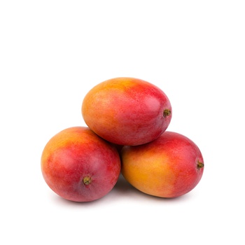 Mango Manzanillo Spain
