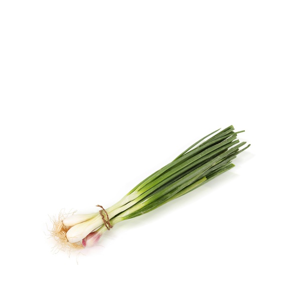 Spring Onion Bunch KSA