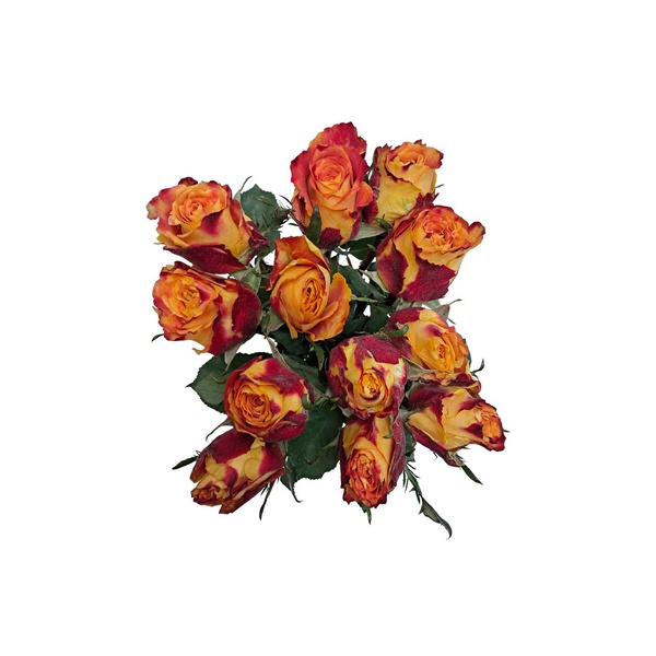 Luxury Orange and Yellow Roses