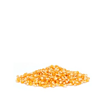 Popcorn Kg