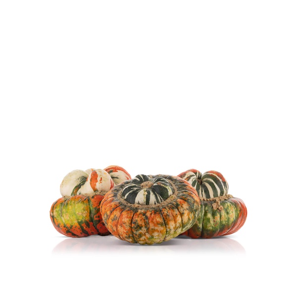 Turks Turban Pumpkin UK