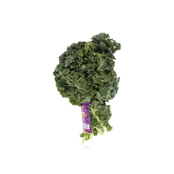 Spinneys Organic Kale Green Usa 490g
