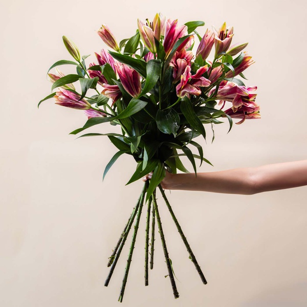 Oriental Red Lilies