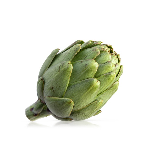 French Organic Artichocke Green