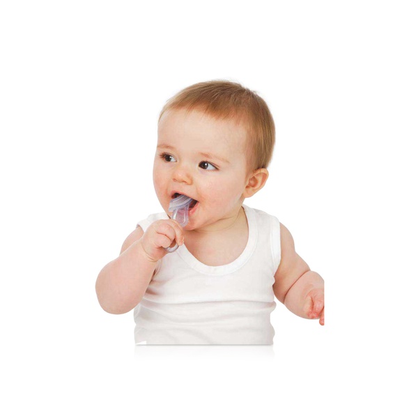Brush-Baby Chewable Toothbrush and Teether (10-36 Months)