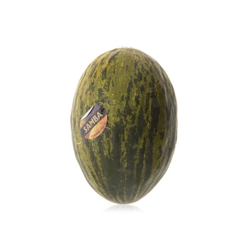 Melon piel de sapo Brazil