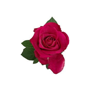 Single Pink Rose