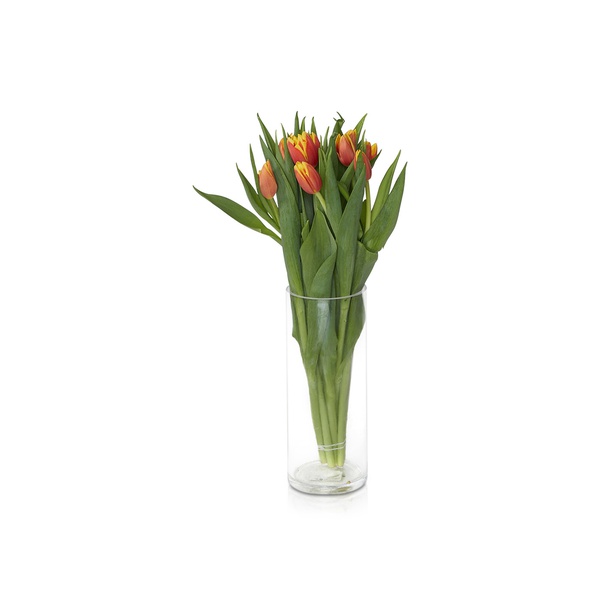 Tulip Bunch Bico Orange