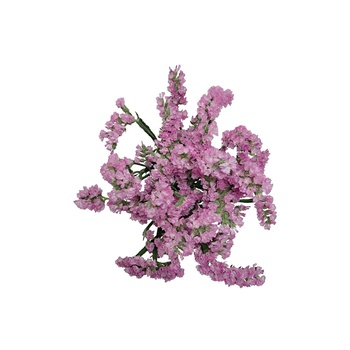 Pink Statice Bunch