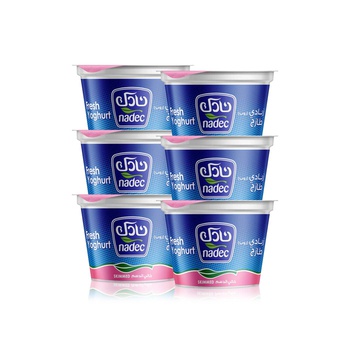 Nadec Skimmed Yogurt 170g x 6