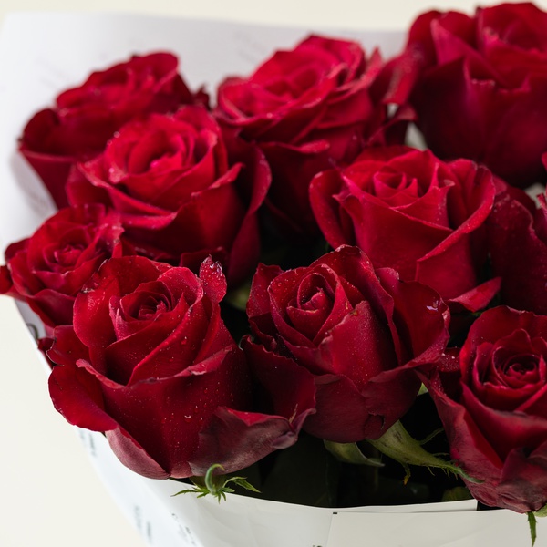 Luxury Red Roses