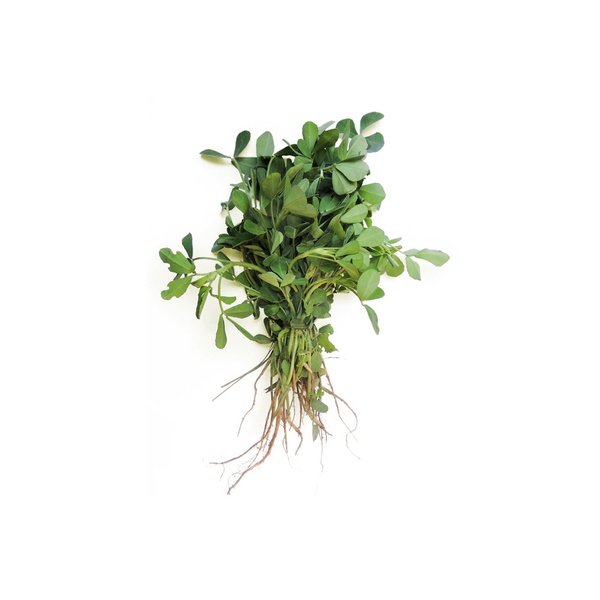 Methi Fenugreek UAE 200g