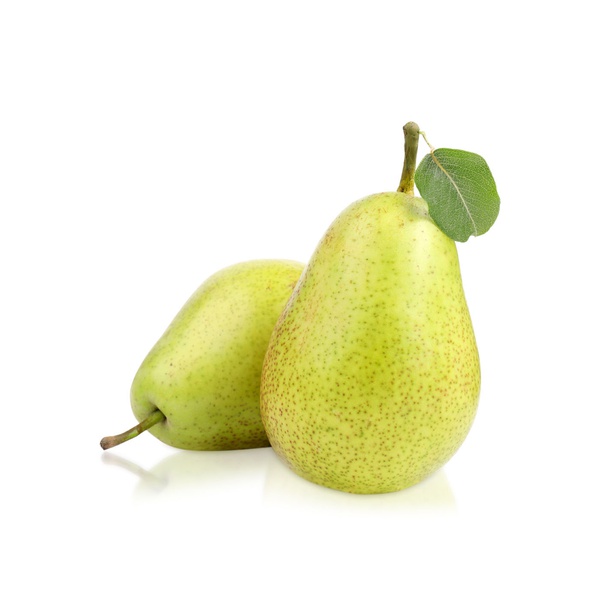 Xenia Pears Holland