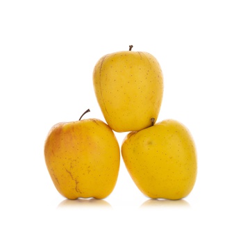 Belchard Chanteclerc Apple France