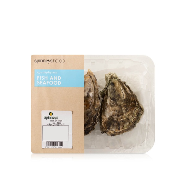 Live Oyster Holland