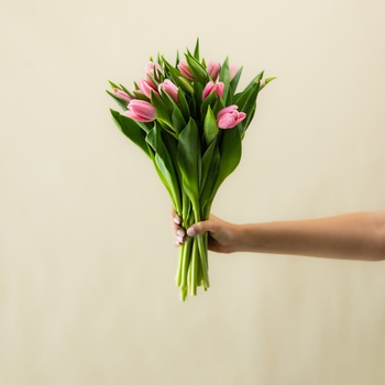 Tulip Bunch Pink