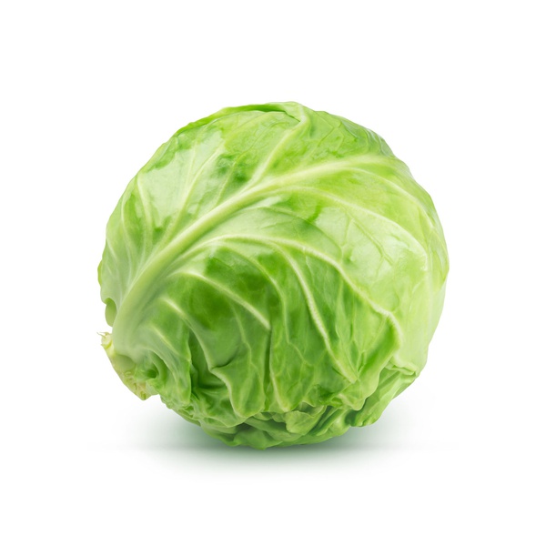 Cabbage Saudi Arabia