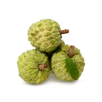 Custard Apple India
