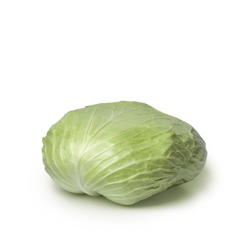 Flat Cabbage Jordan KG