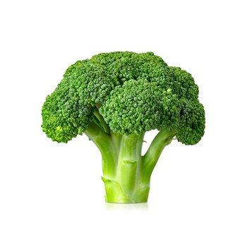 Broccoli Netherlands
