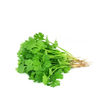 Spinneysfood Coriander Kenya 100g