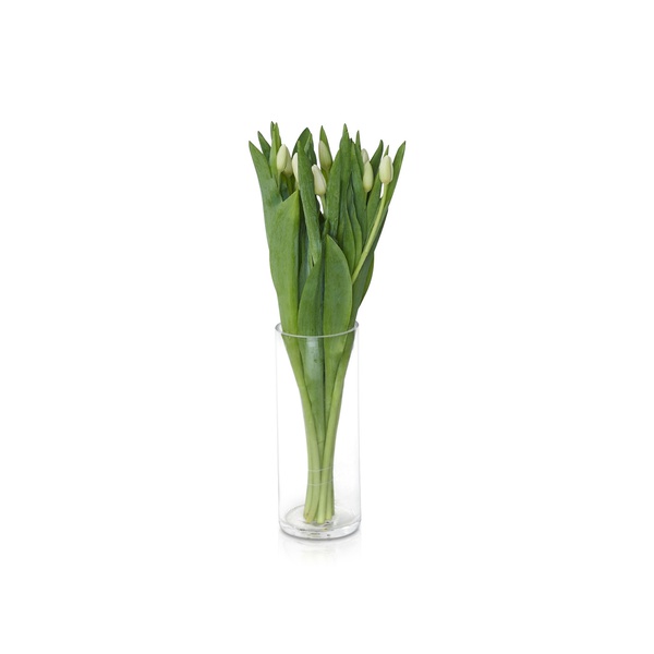 Tulip Bunch White
