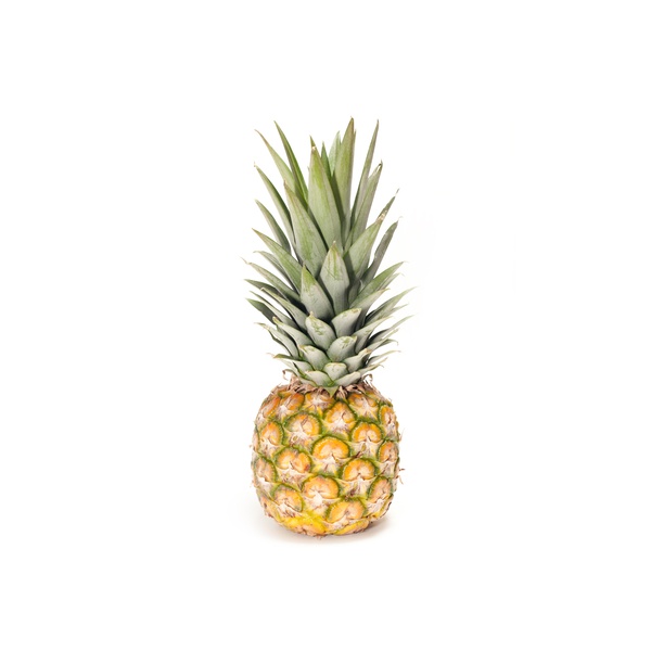 Baby Pineapple South Africa