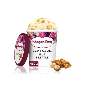 Haagen Dazs Macadamia Nut Brittle Ice Cream 460Ml