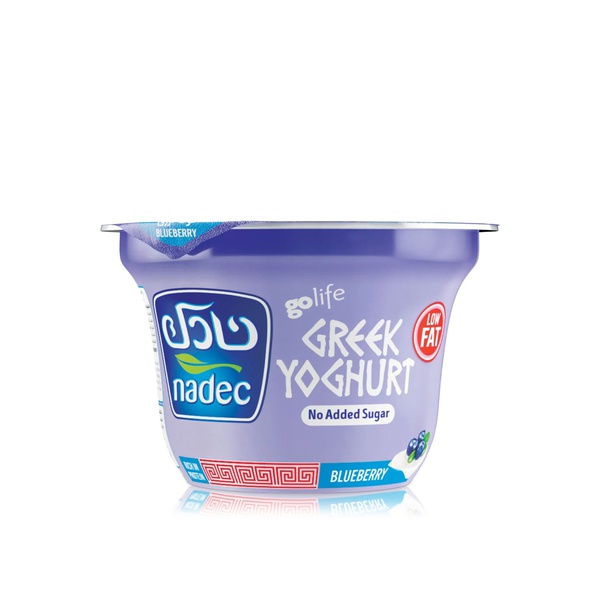 Nadec Low Fat Blueberry Greek Yoghurt 160g