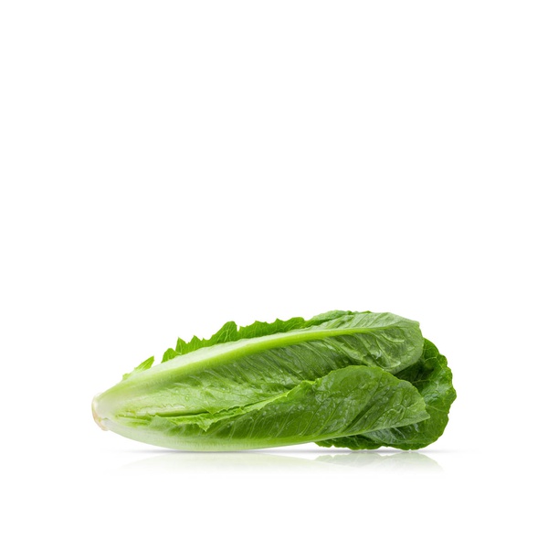 Organic Romaine Lettuce 500g