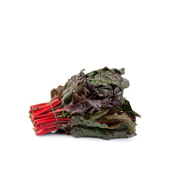 Lakeside Organic Chard Red