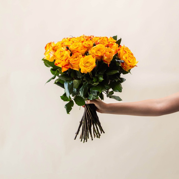 Orange Roses