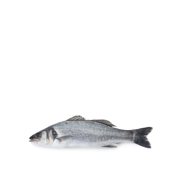 Buy Organic UAE sea bass in UAE