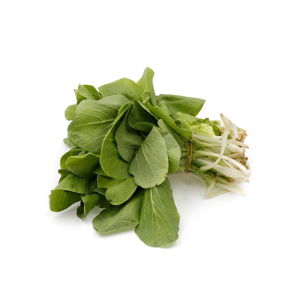 Buy Pak choi bunch Oman in UAE