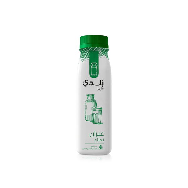 Balade Ayran Mint 225ml