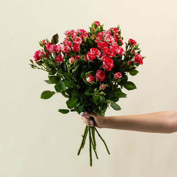 Pink and White Spray Roses