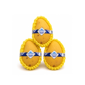 Chok Anan Mango Thailand