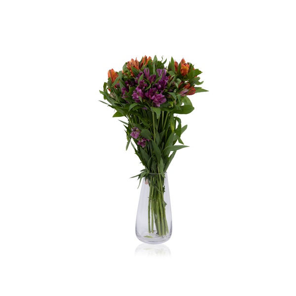 Alstroemeria Bright Mix