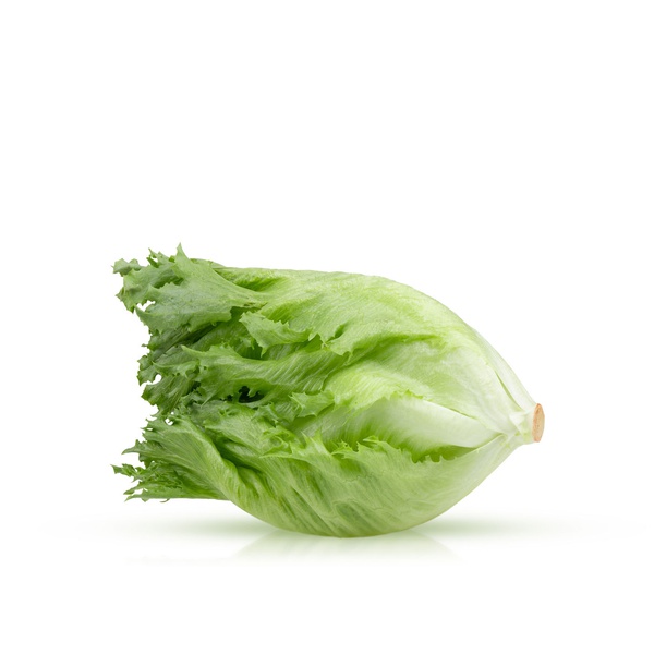 Lakeside Organic Lettuce