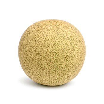 Rock Melon Brazil