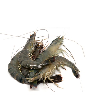 Spinneysfood Large Sri Lanka Tiger Prawns