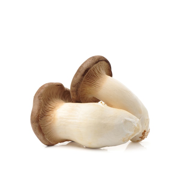 Organic King Oyster Korea 300g