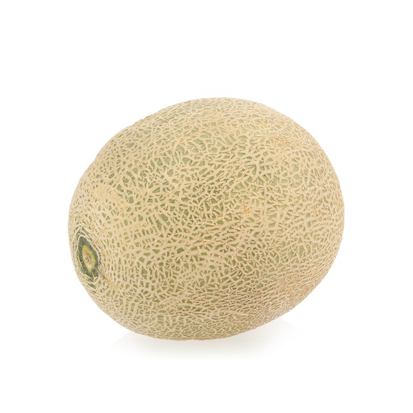 Rockmelon