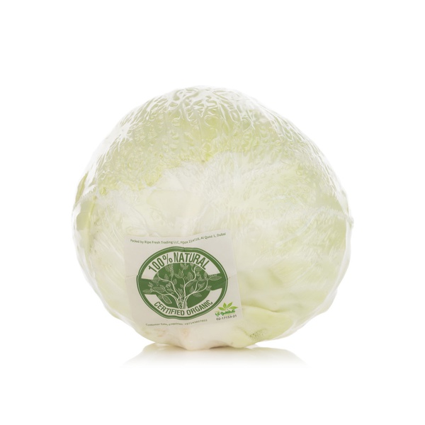 Loose Organic White Cabbage India
