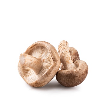Shiitake Mushroom UAE