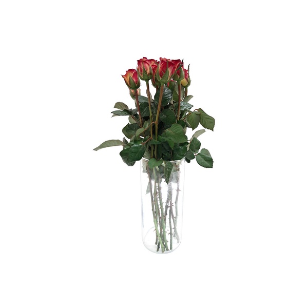 Orange and Yellow Roses