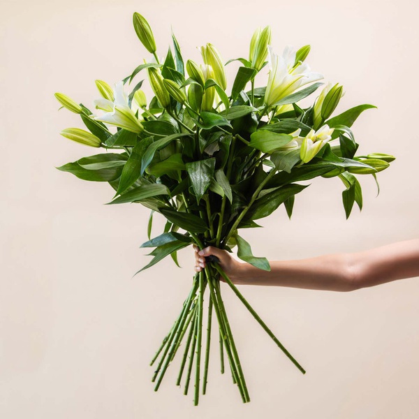 Oriental White Lilies